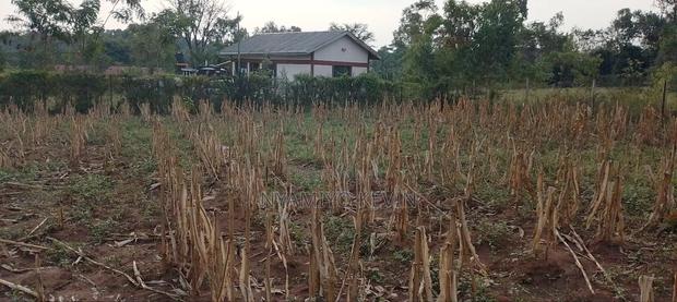 Bondo Rozala Plot - thumbnail 3