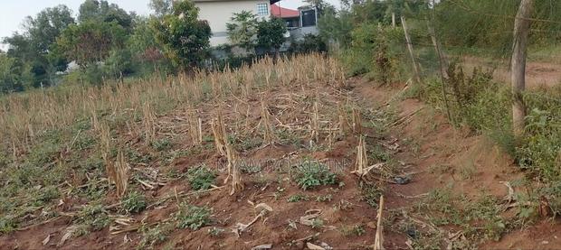 Bondo Rozala Plot - thumbnail 4