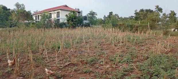 Bondo Rozala Plot - thumbnail 5