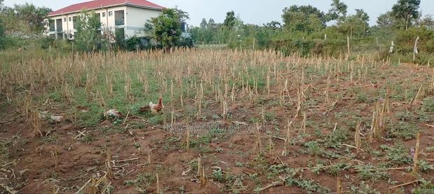 Bondo Rozala Plot - thumbnail 6