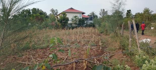 Bondo Rozala Plot - thumbnail 7