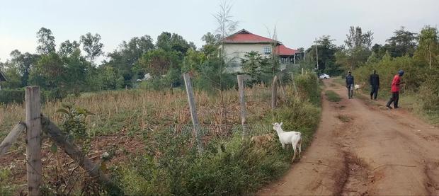 Bondo Rozala Plot - thumbnail 8