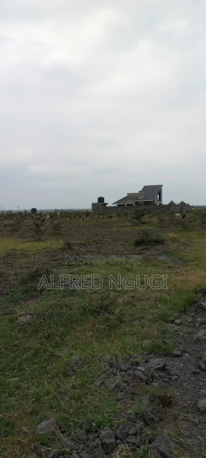 Mwalimu Farm Ruiru