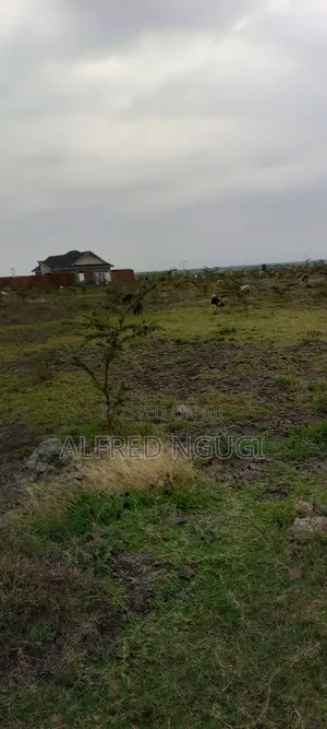 Mwalimu Farm Ruiru
