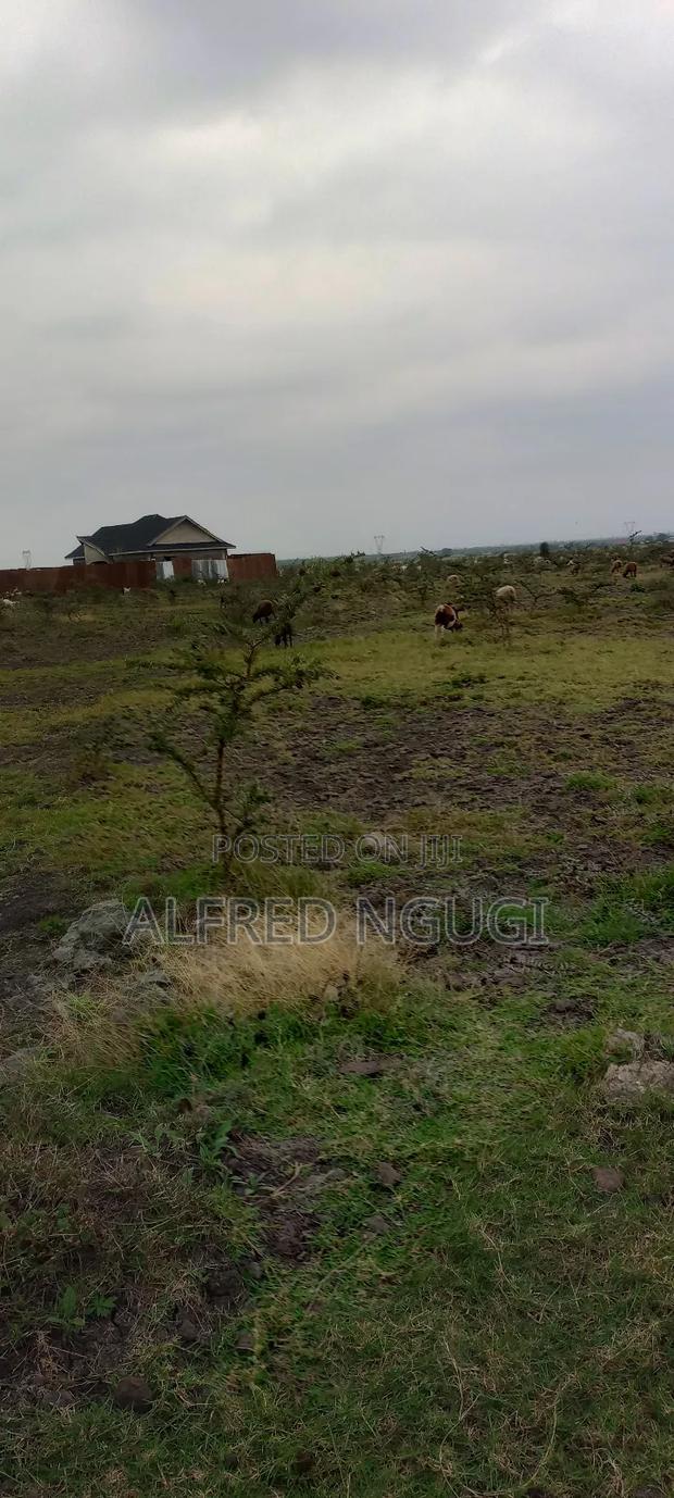Mwalimu Farm Ruiru - thumbnail 3