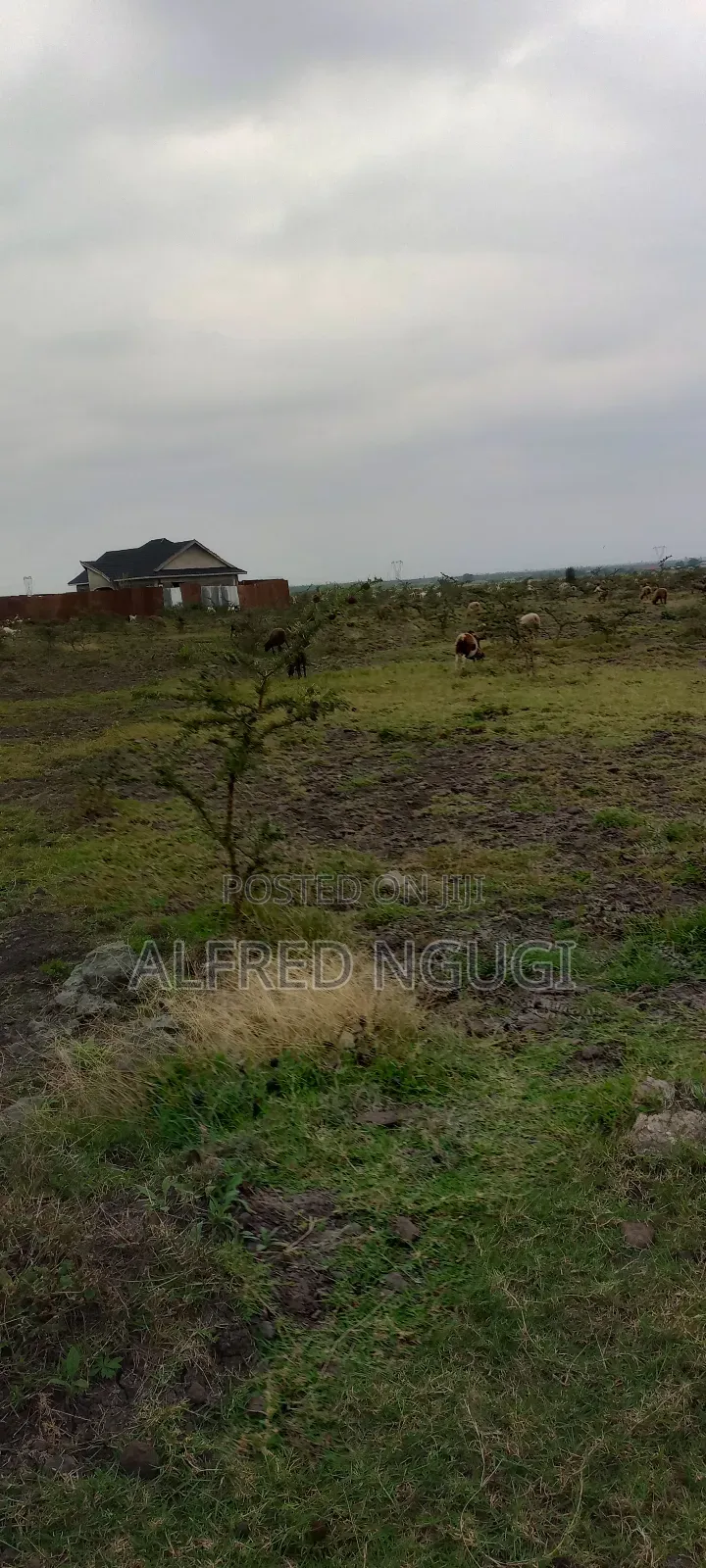 Mwalimu Farm Ruiru