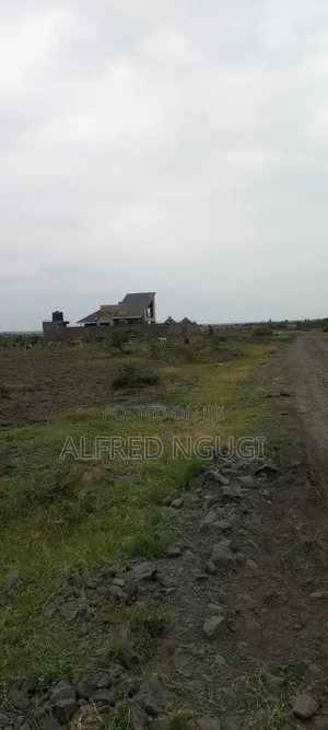 Mwalimu Farm Ruiru