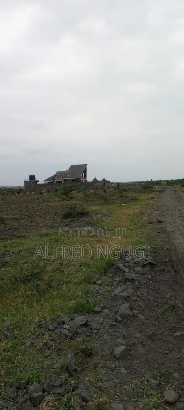 Mwalimu Farm Ruiru - thumbnail 4
