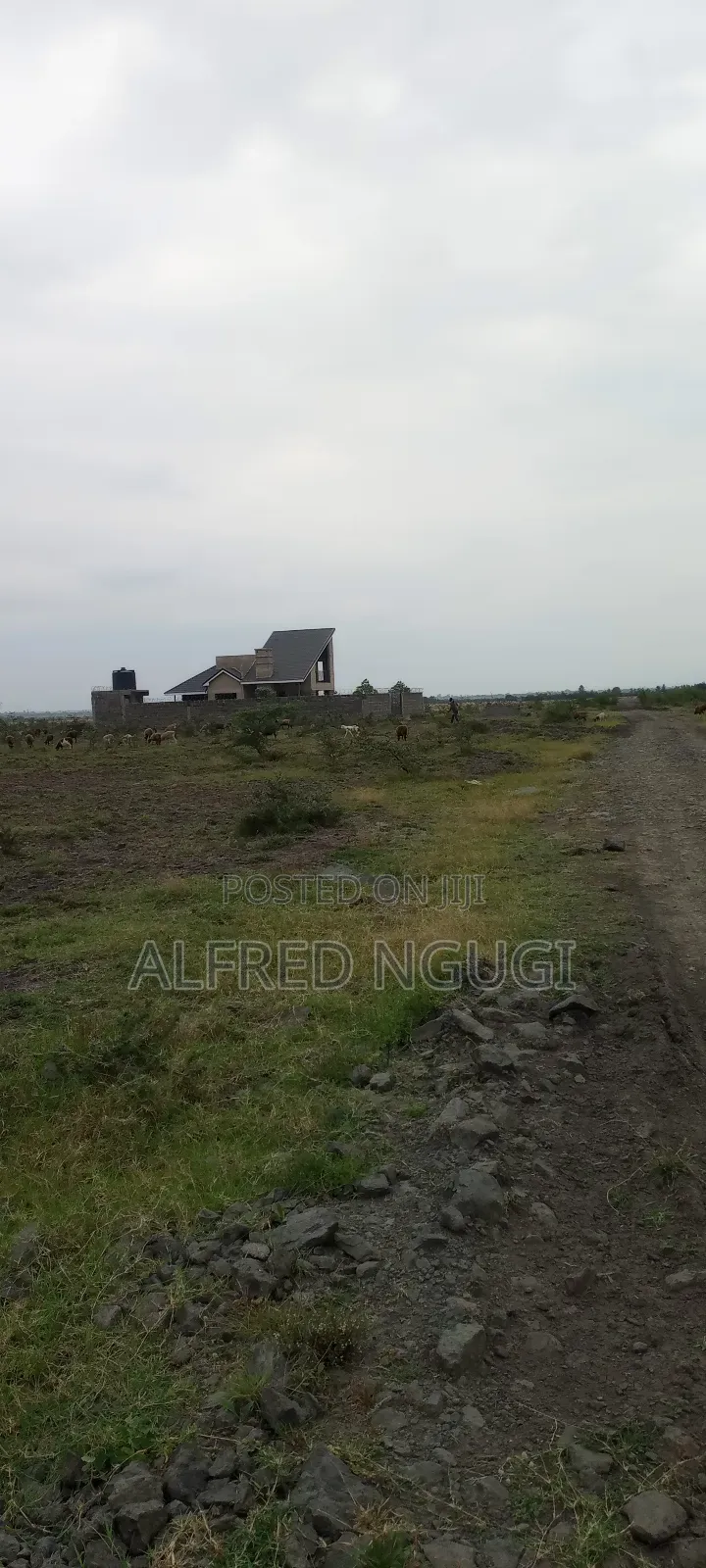 Mwalimu Farm Ruiru