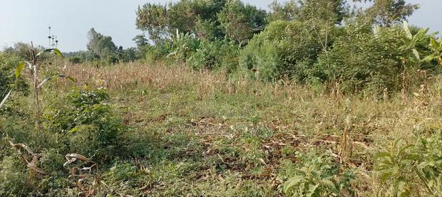 Bondo Opoda Junction - thumbnail 3