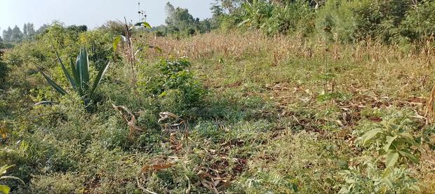 Bondo Opoda Junction - thumbnail 4