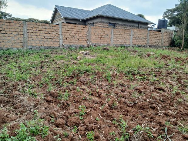 Redsoil Prime Eighth Acre Plot in Matasia - main view