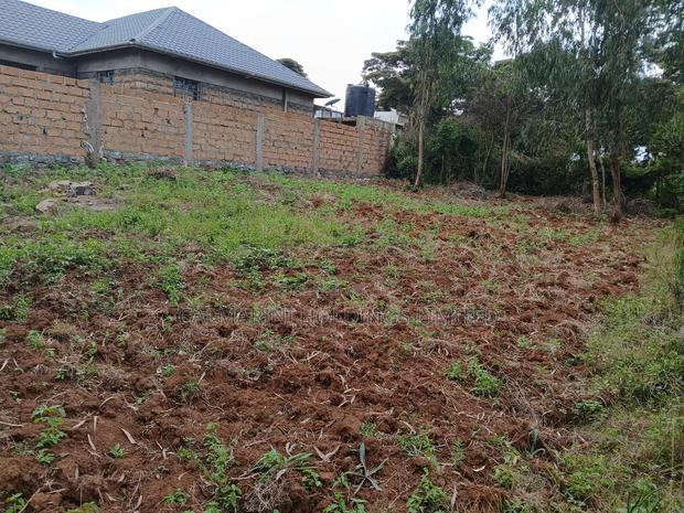 Redsoil Prime Eighth Acre Plot in Matasia - thumbnail 2