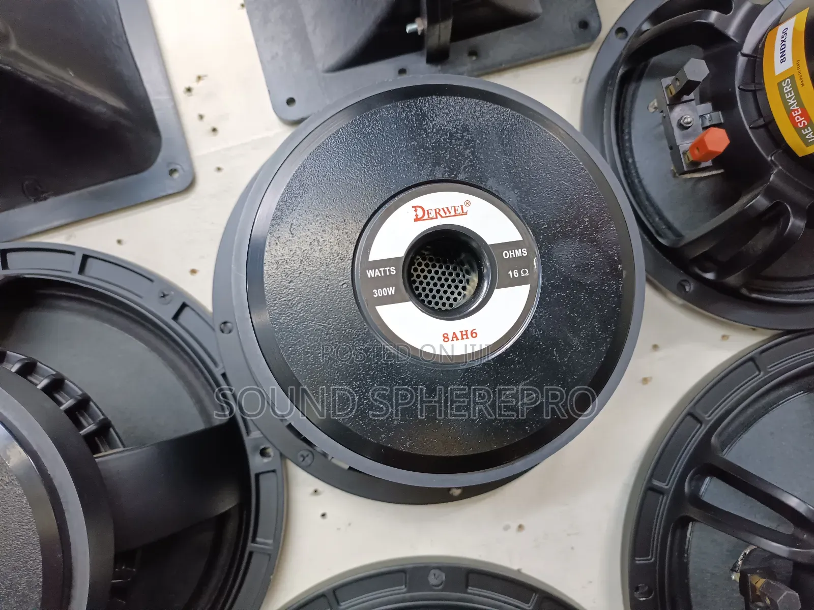 Derwel 8AH6 8 Inch Naked Speaker
