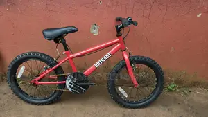 Ex UK Bike Size 18