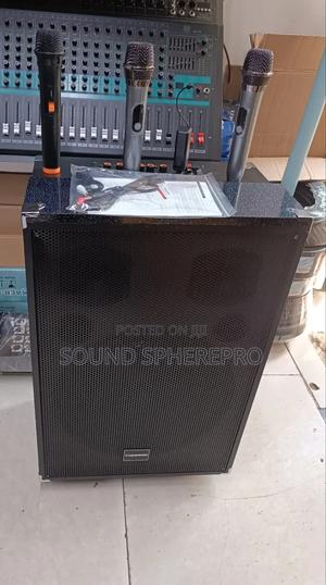 Tagwood 15inch Plus 2 Wireless Microphone - main view