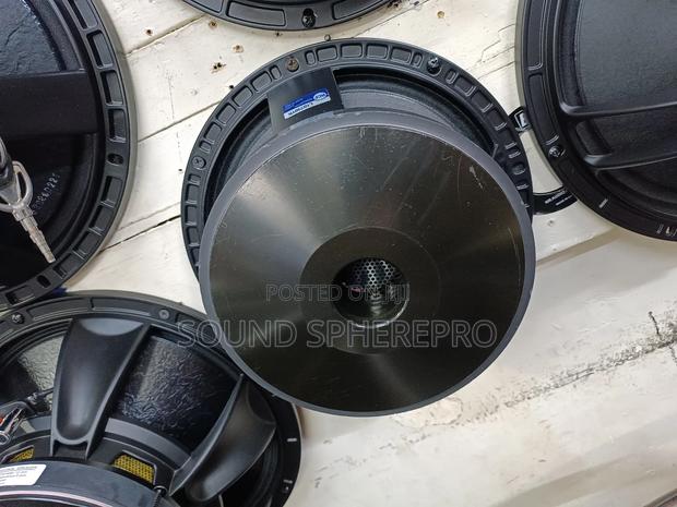 RCF 10inch Naked Speaker
