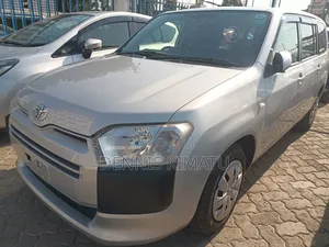 Toyota Probox 2018 Silver