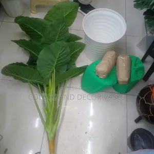 Big Green Plant With Vase and Pebble Stones