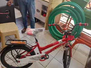 Kids Bike Luta Size 16