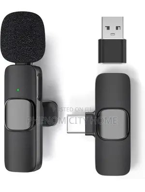2 in 1 Wireless Microphone