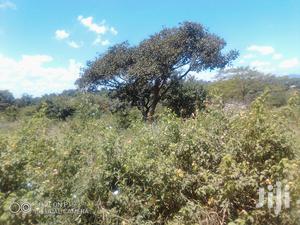 21 Acres At Yongela, Mbitini.Kitui