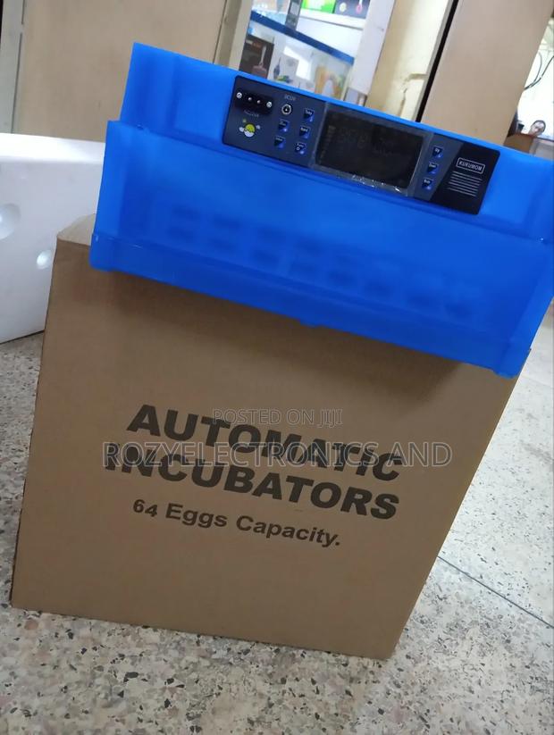64 Eggs Incubator Ac Dc Automatic
