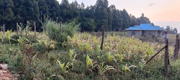 Prime Residential Plot in Kikuyu Thigio - main view