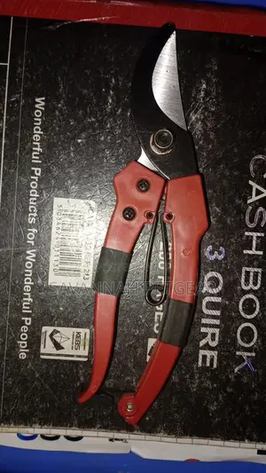 Professional Steel Garden Branch Scissors Clippers Set