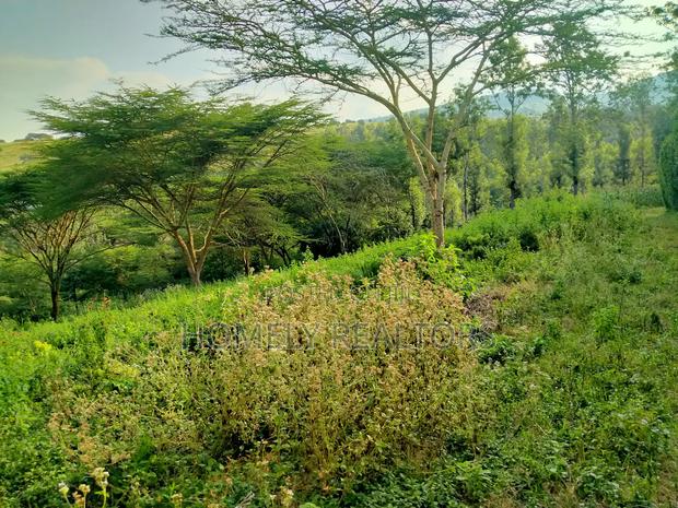 Eighth Acre Plot in Kiserian Along Magadi Rd at St. Patricks - main view
