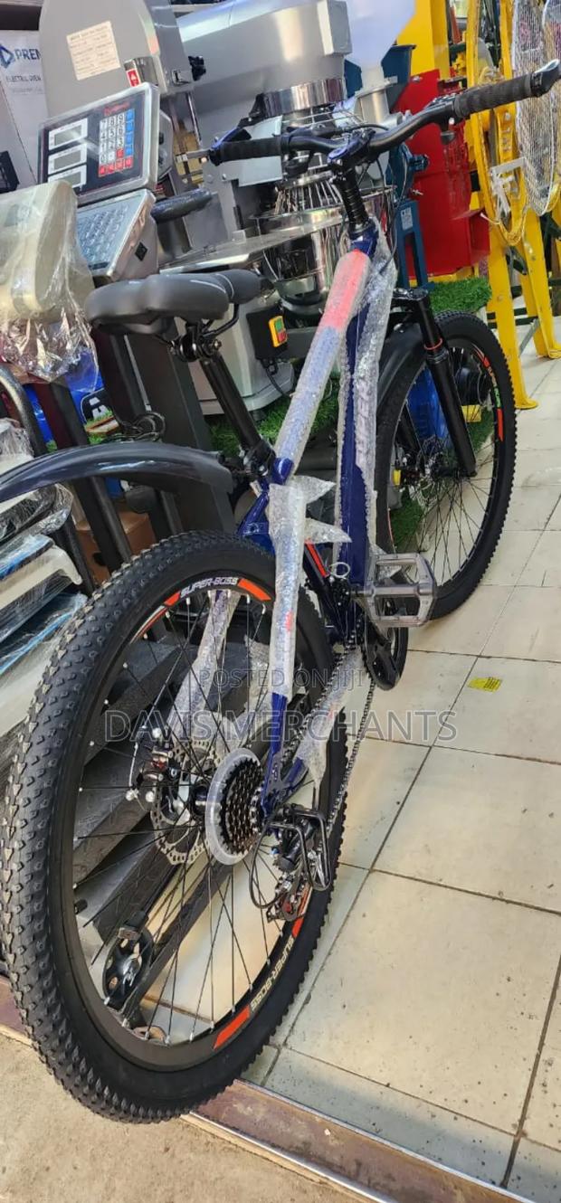 New Arrival for Adult Bicycle - thumbnail 3