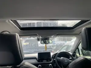 Toyota RAV4 XLE AWD 2019 Gray