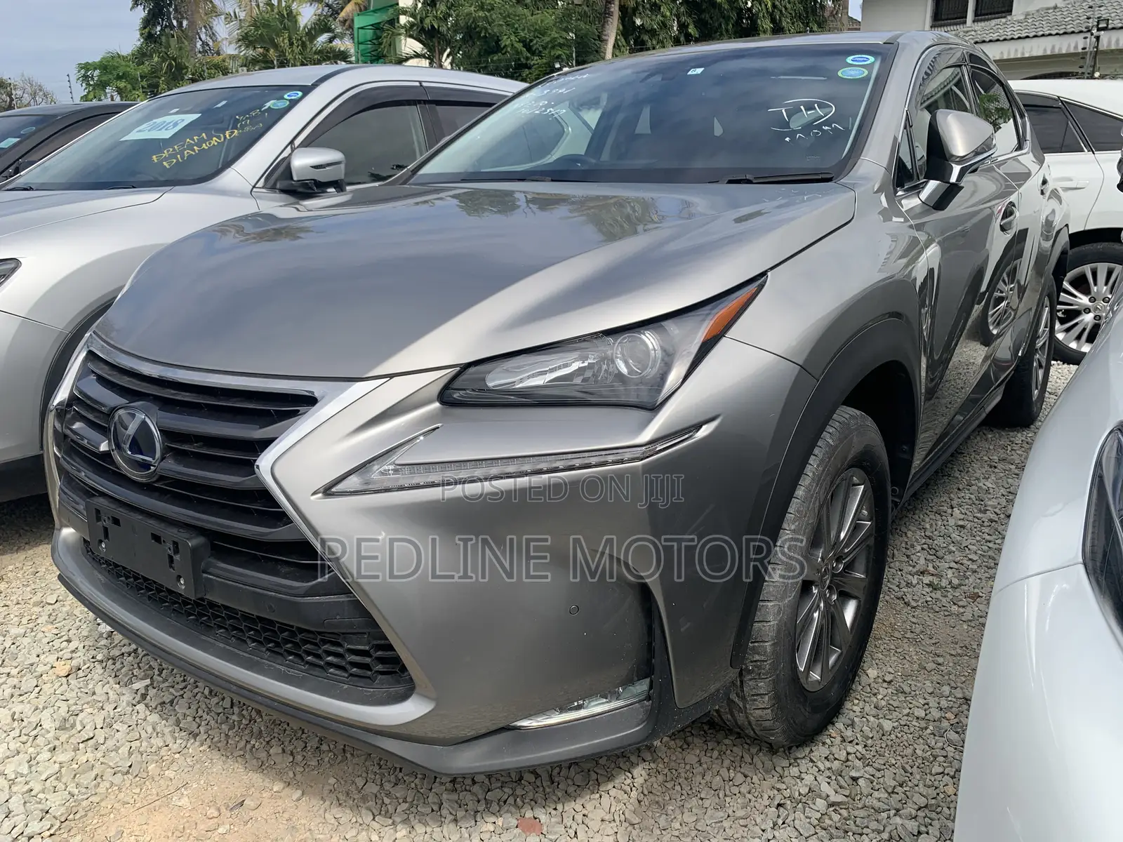 Lexus NX 300h Base 4x4 (2.5L 4cyl 2A) 2016 Gray