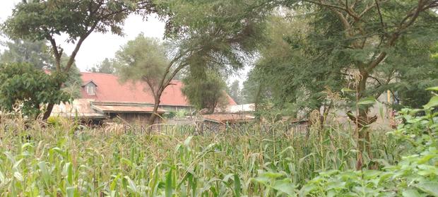 Quarter Acre Plot For Sale In Ngong Kibiko. - thumbnail 3