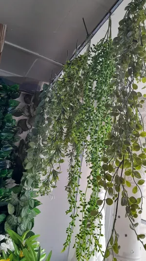 Wall Hangings Artificial Plants