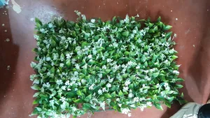Wall Grass Panels Available in Variety on Order