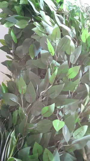 Artificial Olive Tree Plant 2m Long