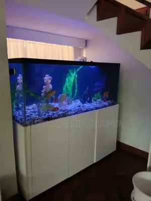 Big Aquarium With Bottom Sump