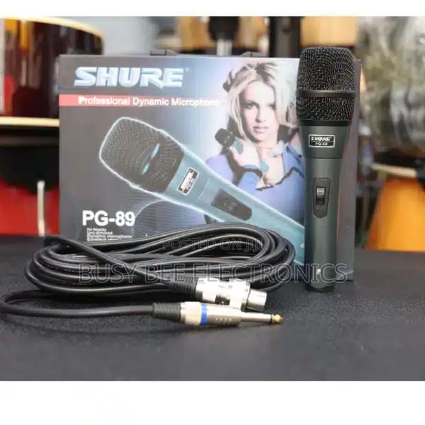 Shure PG89 Professional Dynamic Microphone - main view