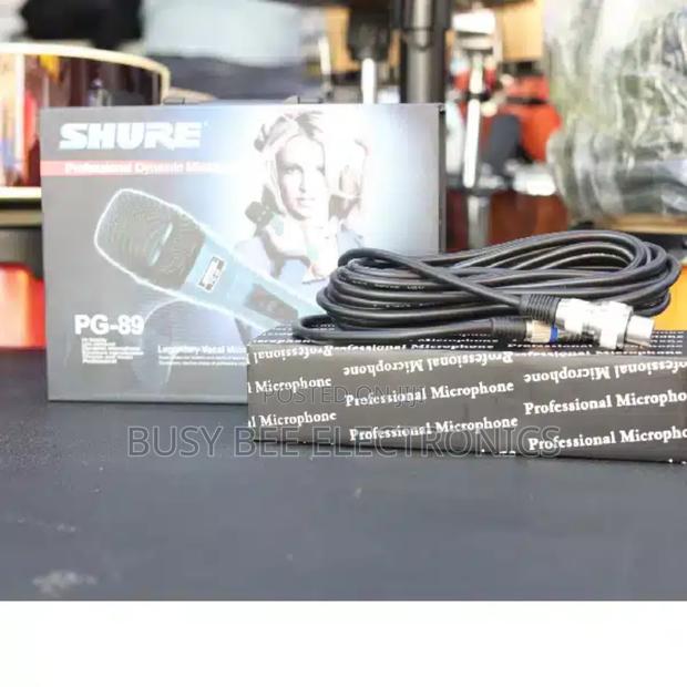 Shure PG89 Professional Dynamic Microphone - thumbnail 2