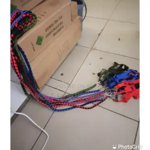 Dog Leash Dog Leash