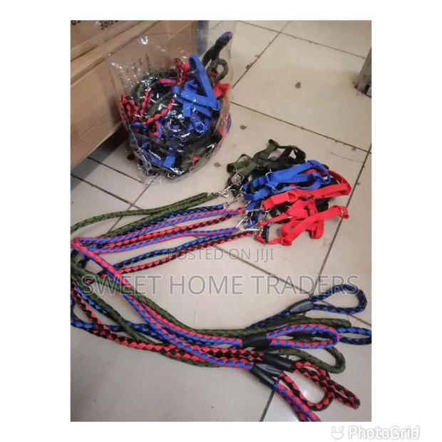 *Dog Leash *Dog Leash * - main view