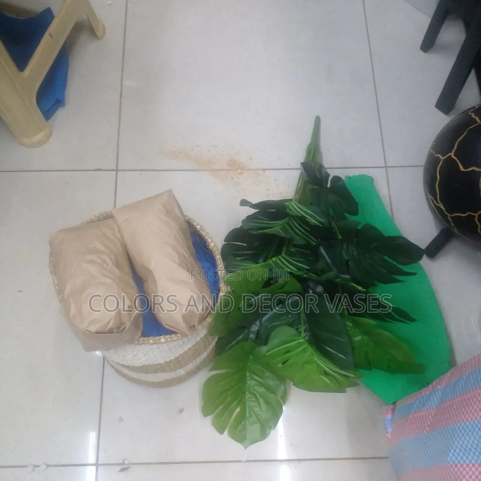 Monstera 70cm Plant Plus Basket 10 Inches