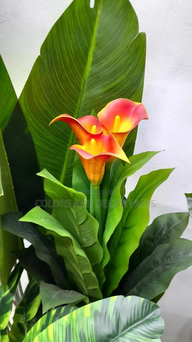 Flowered Plant Without Plastic Vase