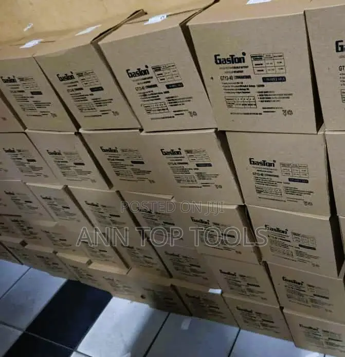 Gaston 40ah 12v Battery