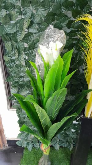 Flowered Plant Alone - thumbnail 2