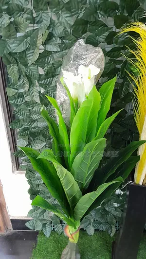 Flowered Plant Alone