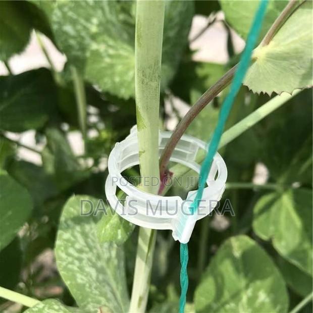300pcs Tomato Clips, Plastic Trellis Clips Plant Support - thumbnail 4