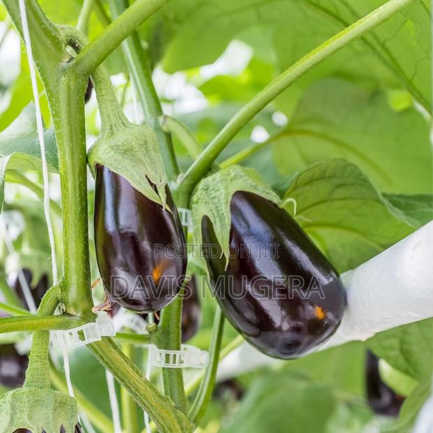 300pcs Tomato Clips, Plastic Trellis Clips Plant Support - thumbnail 2