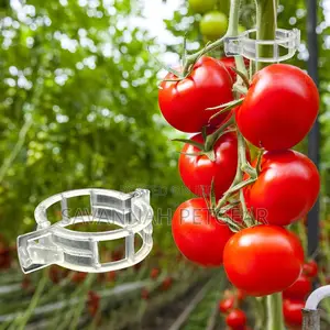 300pcs Tomato Clips, Plastic Trellis Clips Plant Support